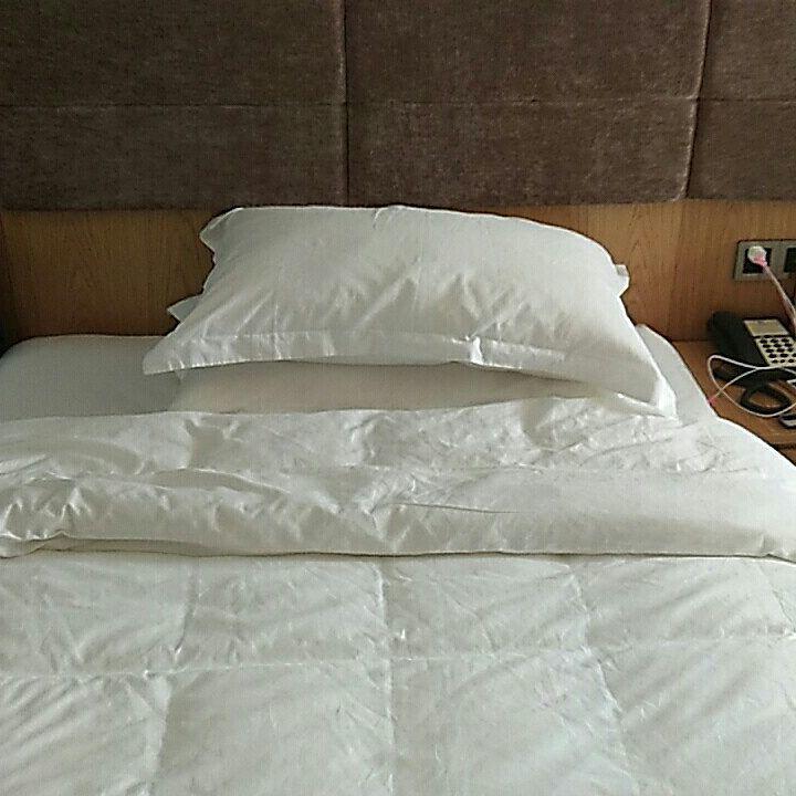 Wen Xin Yuan Homestay Puli Ngoại thất bức ảnh